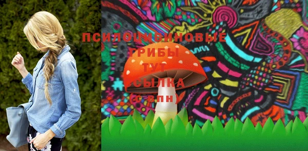 Альфа ПВП Дмитриев