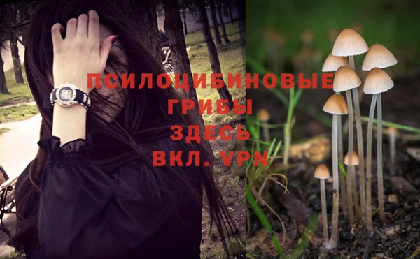 мет Дмитровск